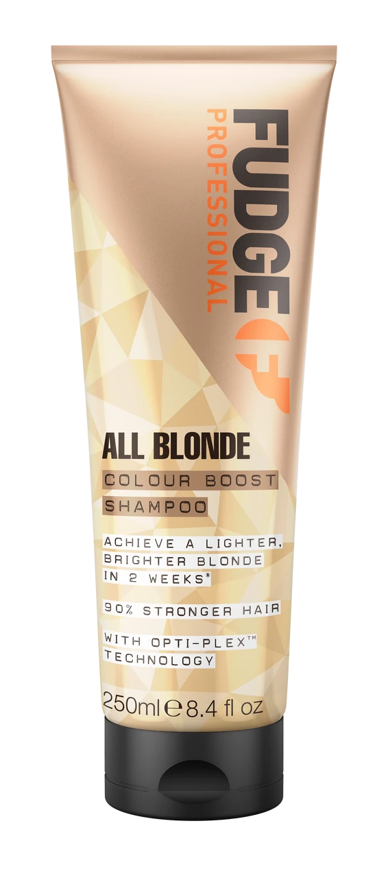 Fudge All Blonde Colour Boost Shampoo 3 Fudge All Blonde Colour Boost Shampoo
