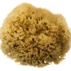 Natural Bath Sponge Honeycomb Sea Sponge Size 5 - 5.5"