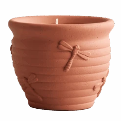 St Eval Nature's Garden Greens Large Dragonfly Pot